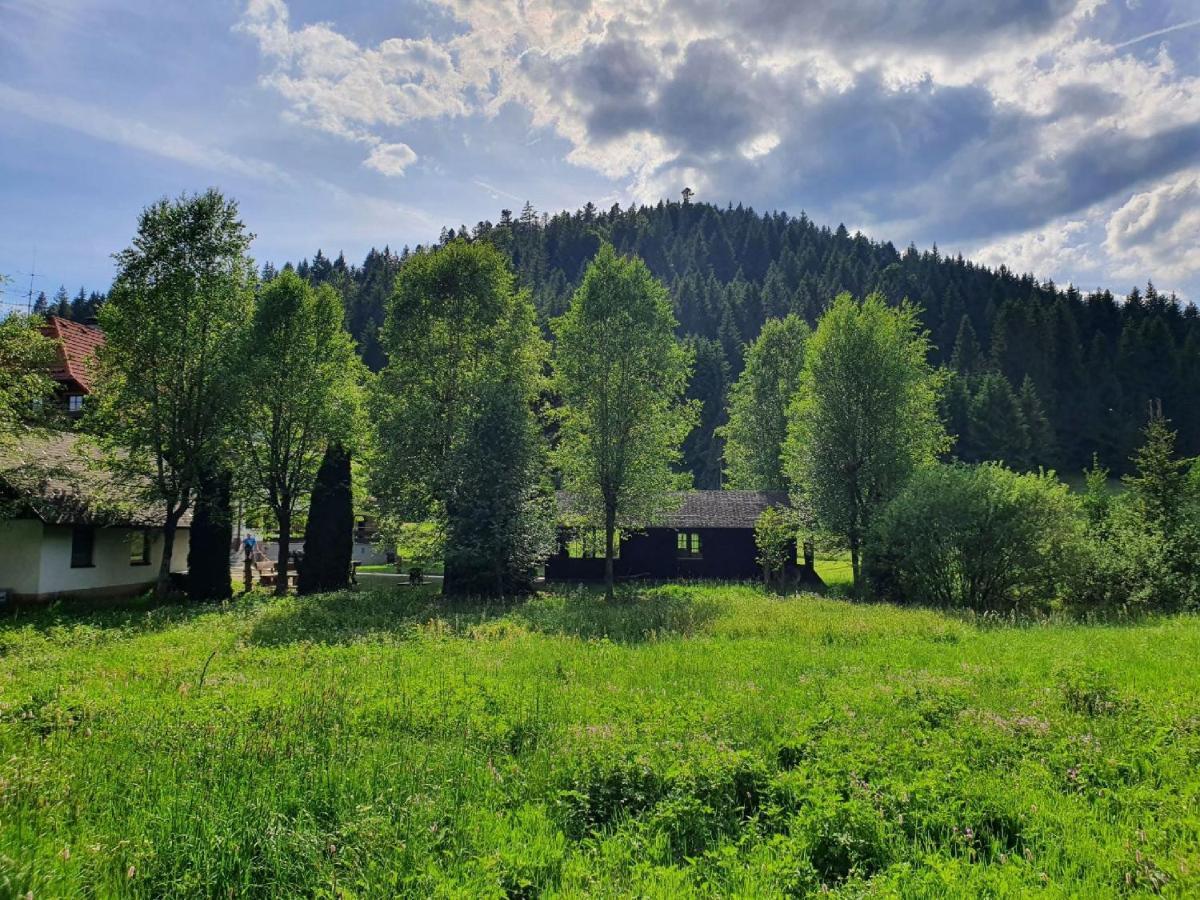Hotel Finkenhof Schluchsee Zewnętrze zdjęcie