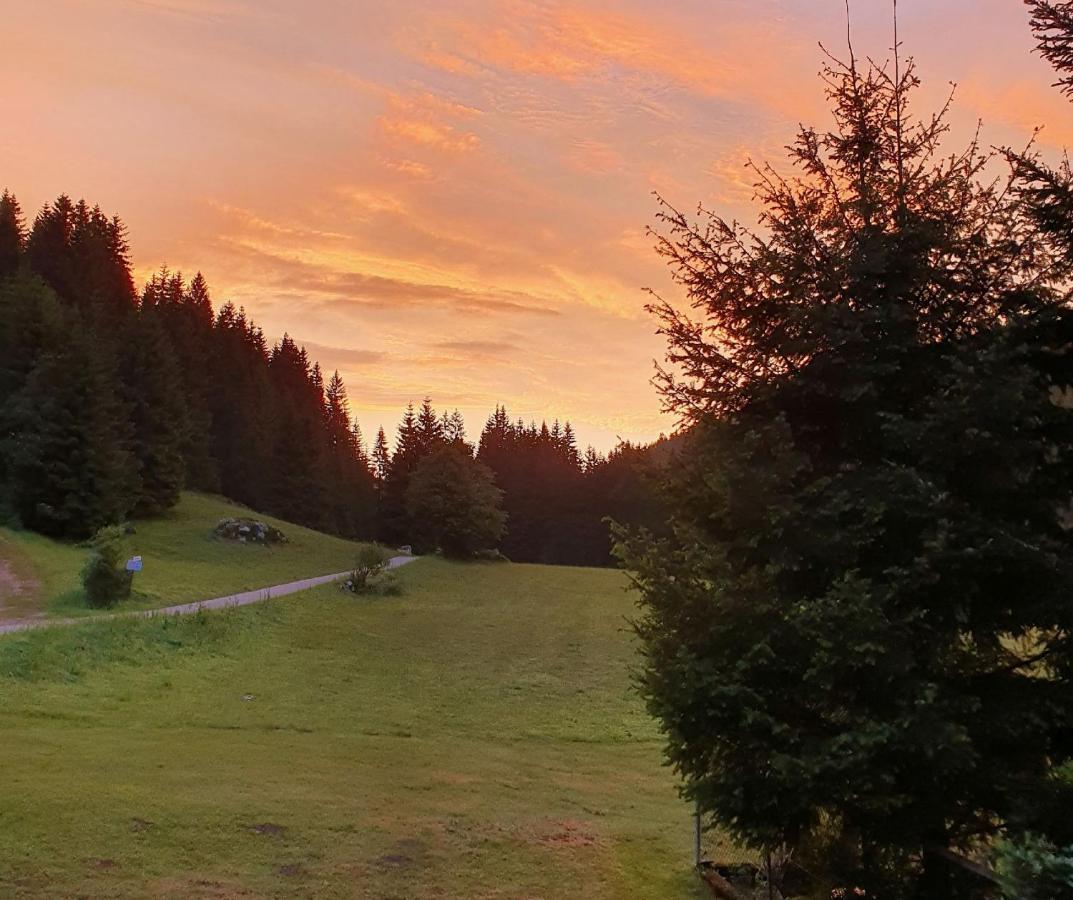 Hotel Finkenhof Schluchsee Zewnętrze zdjęcie